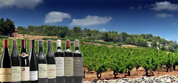 Vente privée Languedoc : deux mythes et trois stars ont rendez-vous sur iDealwine