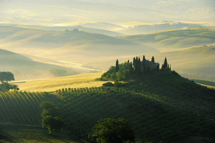 Les collines de Toscane : Combien valent ces grands vins étrangers que l’on commence à voir dans les ventes aux enchères françaises ?