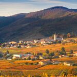 2009, 2010 et 2011 : trilogie gagnante pour les crus du Beaujolais