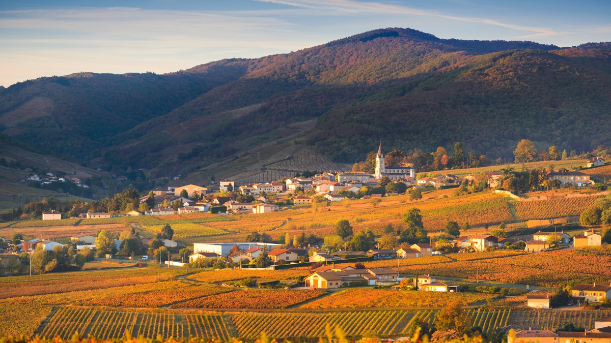 Lire la suite à propos de l’article 2009, 2010 et 2011 : trilogie gagnante pour les crus du Beaujolais