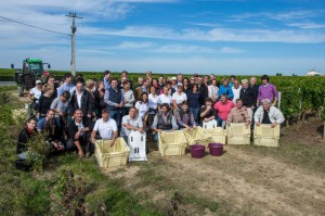 Les vendangeurs du Château Cheval Blanc