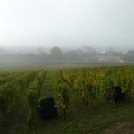 Le Château Angélus et ses vignes sont baignés dans la brume