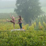 Ballet de nymphes dans les vignes d'Angélus