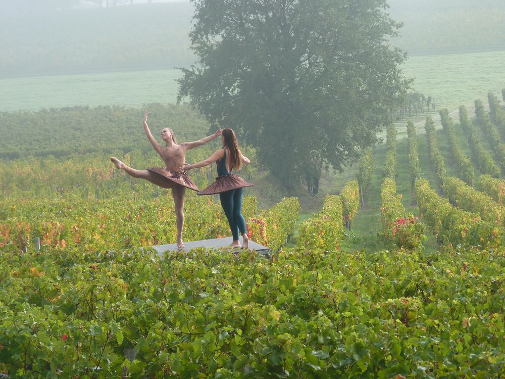 Ballet de nymphes dans les vignes d'Angélus