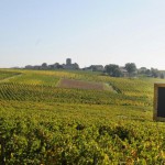 Un soleil encore estival sur les vignes d'Angélus