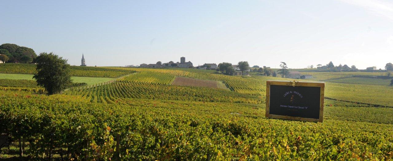 Un soleil encore estival sur les vignes d'Angélus