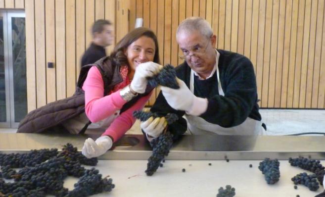 Le tri du raisin par Angelique de Lencquesaing et Michel Bettane au Chateau Cheval Blanc