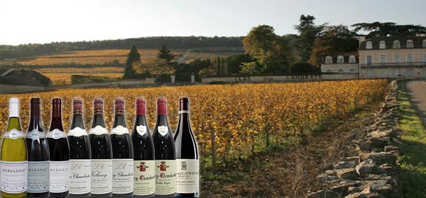 Vente Privée Bourgogne 