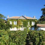 Médoc : le Château Greysac vendu… à un Français