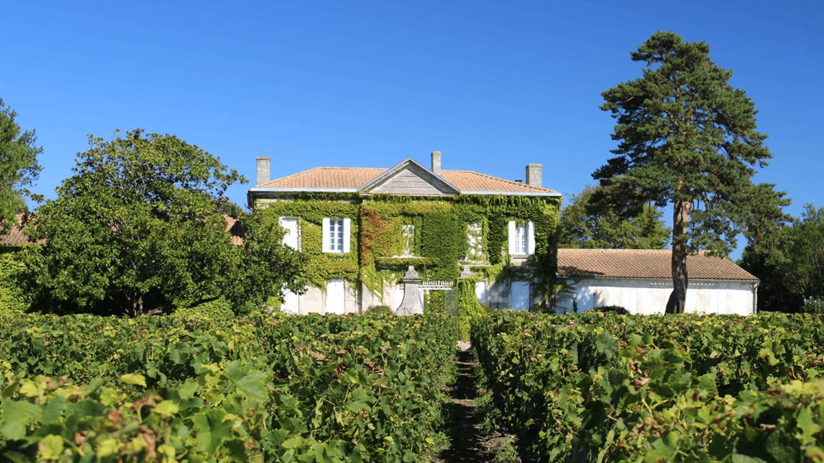 Lire la suite à propos de l’article Médoc : le Château Greysac vendu… à un Français