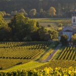 Clos Haut Peyraguey, Premier Grand Cru Classé de Sauternes, racheté par Bernard Magrez