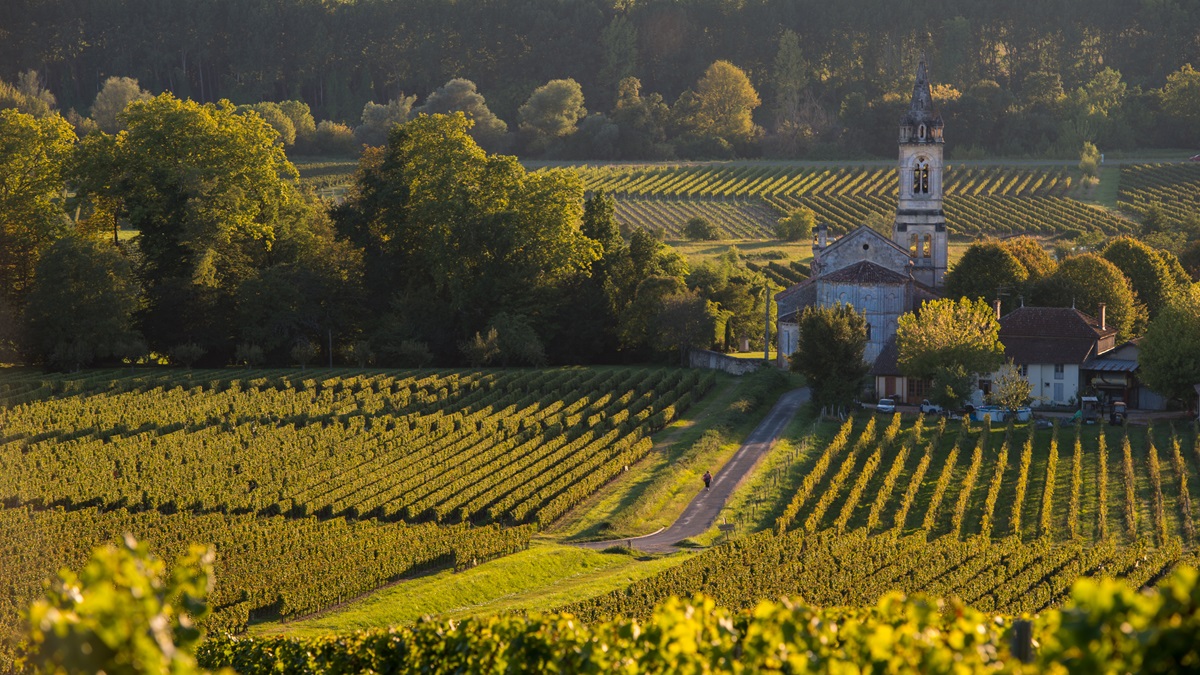 Lire la suite à propos de l’article Clos Haut Peyraguey, Premier Grand Cru Classé de Sauternes, racheté par Bernard Magrez