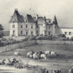 Haut-Brion rachète… La Passion Haut-Brion !