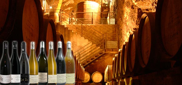 Domaines de La Butte et de La Taille aux Loups : les vins de Jacky Blot au sommet de la Loire