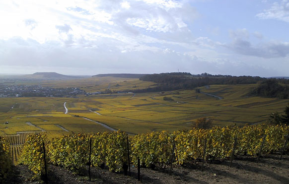 Vue sur Vertus ; à droite, la pointe sud de la Côte des Blancs et au fond la butte témoin du Mont Aimé