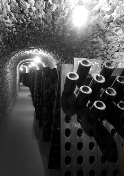 Cave Philippe Gonet Cave Philippe Gonet