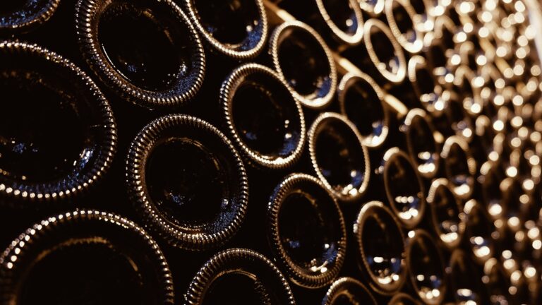 Lire la suite à propos de l’article Bouteilles de vin : pourquoi font-elles 75 cl ?