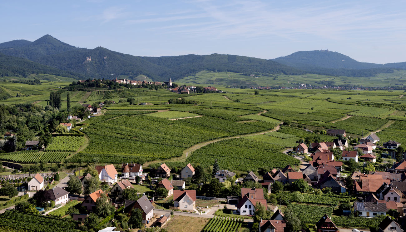 Le Grand Cru Sonnenglanz Domaine Bott-Geyl