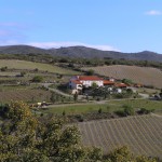 Le domaine Gauby : petite révolution et grandes évolutions