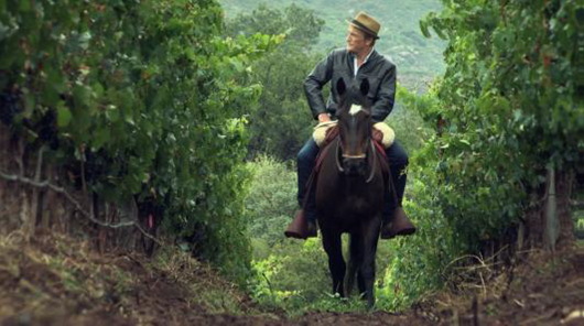 Lire la suite à propos de l’article Série documentaire « La route des vins », à la découverte des vignobles aux quatre coins du globe