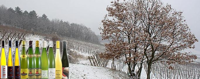 Lire la suite à propos de l’article Vente privée Trimbach, Ostertag et Bott-Geyl : à vous les grands blancs d’Alsace !