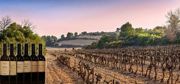 Lire la suite à propos de l’article Rivesaltes et Banyuls 1933, 1943, 1953, 1963, 1973, 1983 : six vins doux naturels de légende !