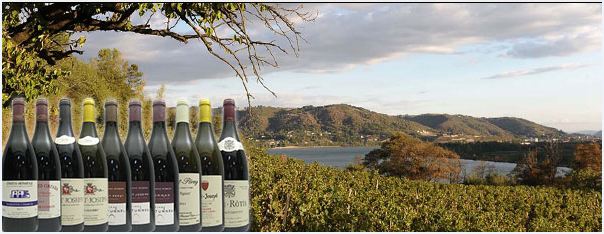 Lire la suite à propos de l’article Combier, Gonon, du Tunnel, Bernard Gripa et Rostaing en vente privée : le top du Rhône nord !