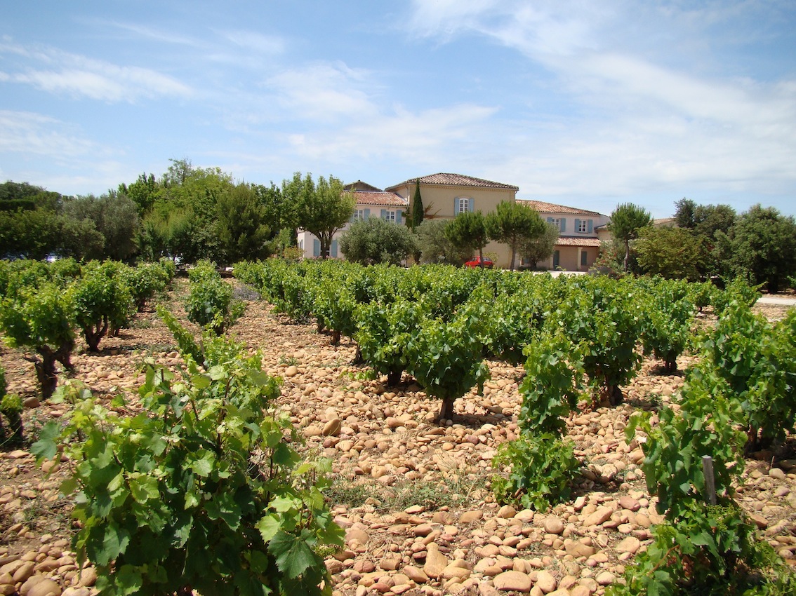 Lire la suite à propos de l’article Découverte : les grands blancs de Beaucastel à Châteauneuf-du-Pape