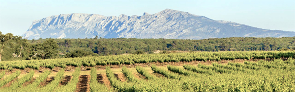 Lire la suite à propos de l’article A la découverte des Coteaux Varois en Provence