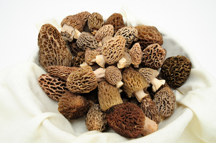 assiette de morilles 