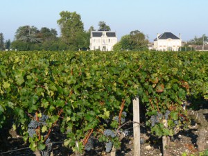 Vignobles de Bordeaux