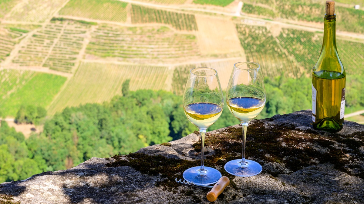 Lire la suite à propos de l’article Quels accords à table avec les vins du Jura ?