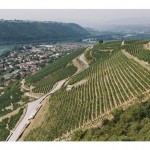 Les vignobles de condrieu et de la côte-rôtie menacés ?