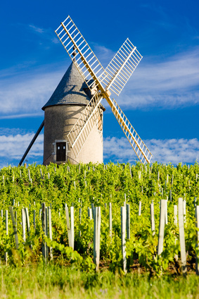 moulin beaujolais