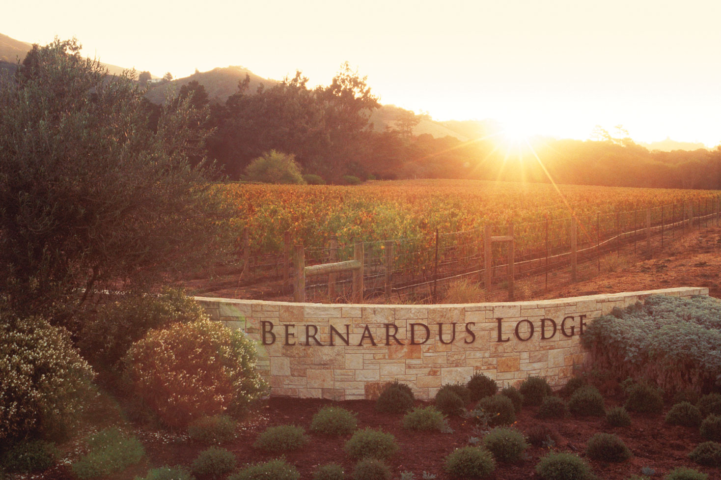 Bernardus Lodge