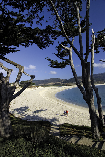 Carmel Beach