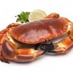 Recette de la semaine – Salade de riz au crabe et aux fruits de mer