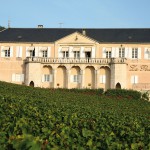 Le domaine de La Pousse d’Or : l’excellence du pinot de Beaune jusqu’à Nuits…