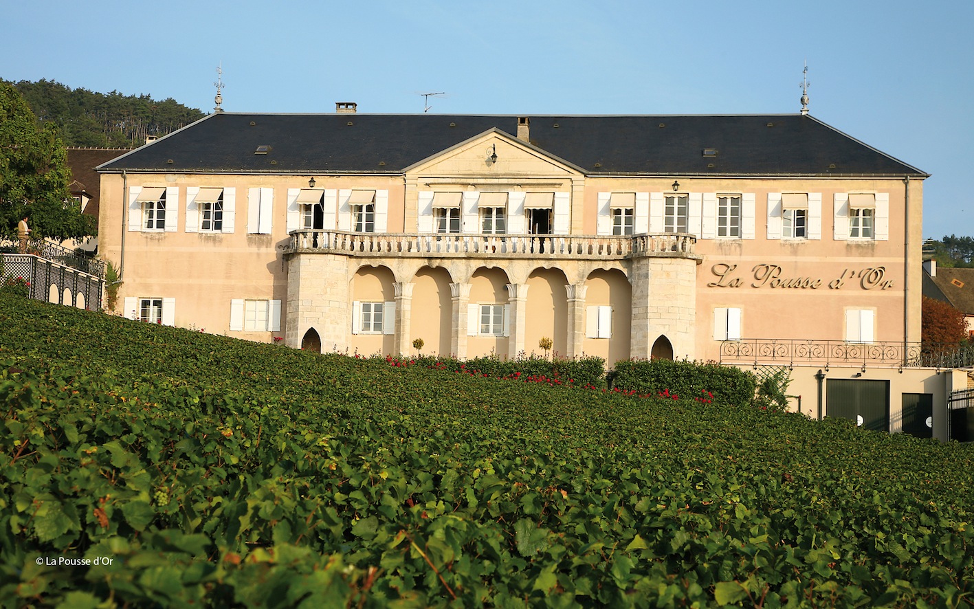 Lire la suite à propos de l’article Le domaine de La Pousse d’Or : l’excellence du pinot de Beaune jusqu’à Nuits…