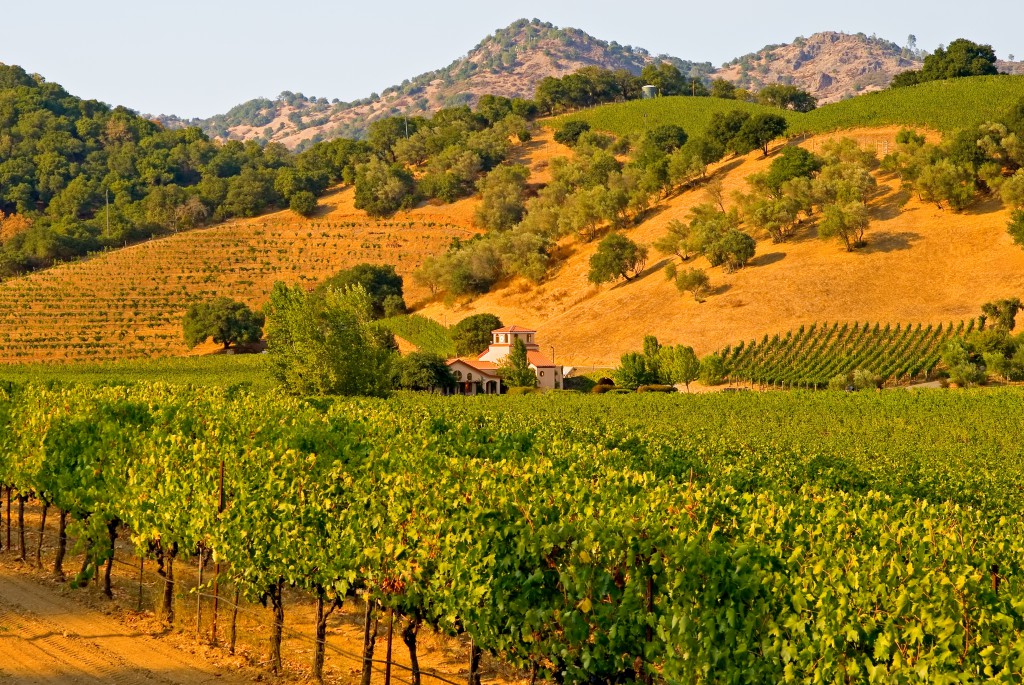 Lire la suite à propos de l’article California: Sea, Wine and Sun!