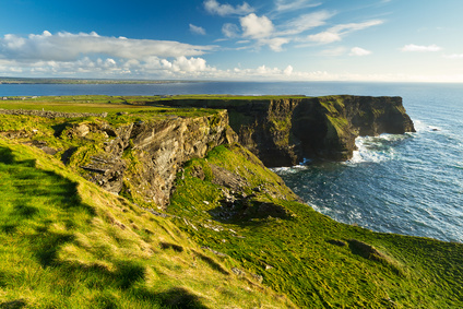 Lire la suite à propos de l’article Le gouvernement irlandais se sépare d’une partie de sa cave
