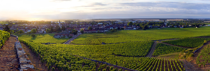 Lire la suite à propos de l’article Un futur statut de grand cru pour le climat Les Saint Georges à Nuits-Saint-Georges ?