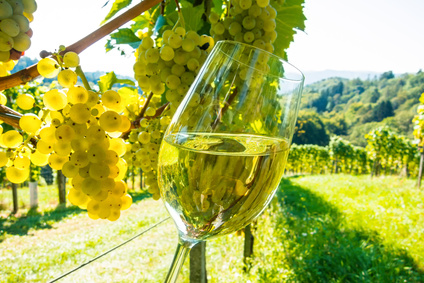 Lire la suite à propos de l’article Millésime 2013 : où en est le vignoble au début de l’été ?