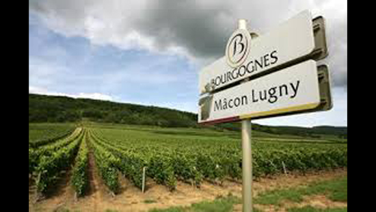 Lire la suite à propos de l’article Lugny, bientôt une nouvelle appellation à part entière dans le Mâconnais ?