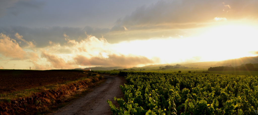 Beaujolais