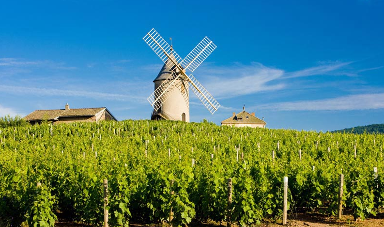 Beaujolais Wine Chic Travel
