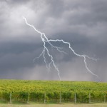 Un orage aux conséquences catastrophiques pour la Côte de Beaune