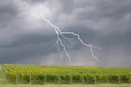 Lire la suite à propos de l’article Un orage aux conséquences catastrophiques pour la Côte de Beaune