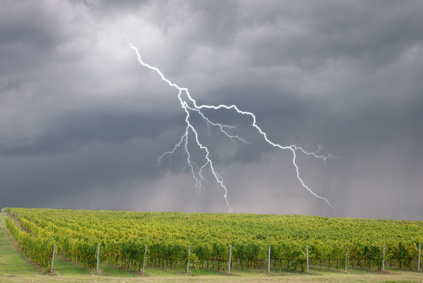 Lire la suite à propos de l’article Un orage aux conséquences catastrophiques pour la Côte de Beaune