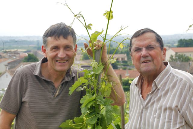 Lire la suite à propos de l’article Le domaine Alain Voge : au sommet de Cornas et de Saint-Péray